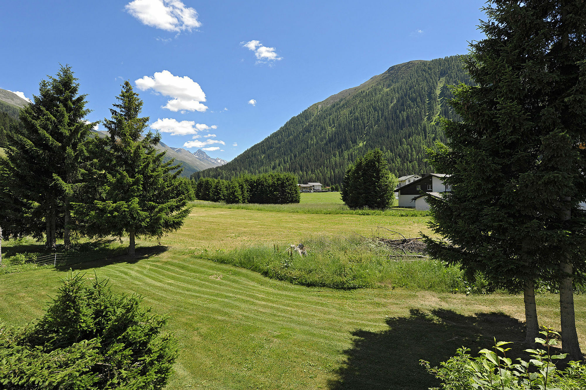 Private Holiday Homes By Solaria Davos Buitenkant foto